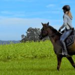 How Does Riding Horses Affect Your Health?
