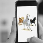 Very Cool Apps for Horse Lovers